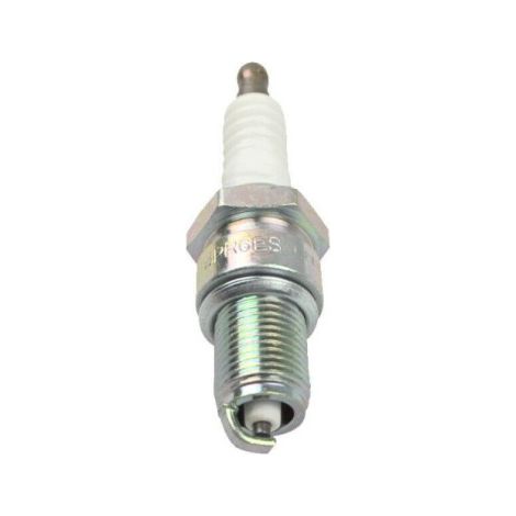 Bougie pour motobineuse 700 (1/5)