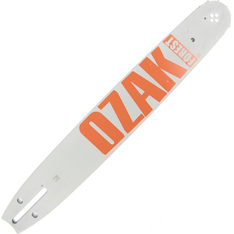 Guide seul 38cm pour tronçonneuse Pas 325 Jauge 1,5mm correspondance Oregon 158PXBK041 (1/3)