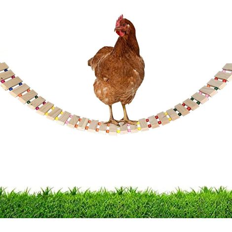 Poulailler Jouet balançoire à suspendre Poules en bois naturel Perchoir Échelle Jouets,oiseaux Volaille (1/5)