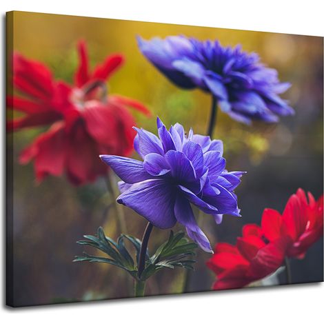 Leinwanddruck Botanik Wildblumen 100x80 cm