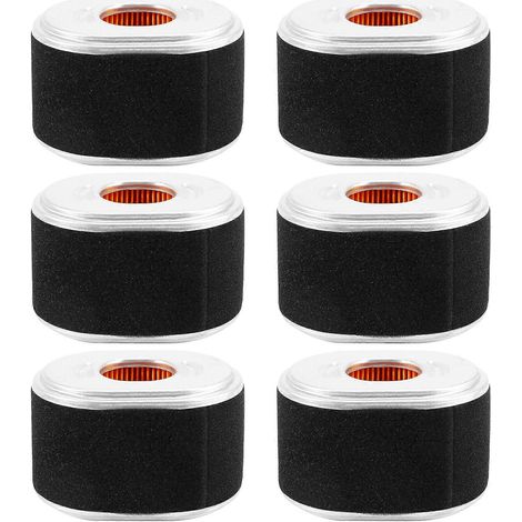 Six filtres à air compatibles avec GX120, GX140, GX160 et GX200 (17210-Z4M-821) (1/5)