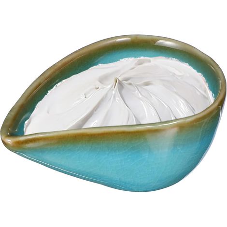 Petite Coupelle Céramique Ronde pour Huiles Essentielles et Masques Plateau Décoratif pour Salon de Beauté Spa Massage Multifonction (1/5)