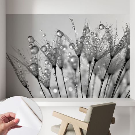 Fotomurale adesivo stickers - murali decorativo - soggiorno moderno - effetto realistico - Delicatezza bagnata 104x70 cm (1/5)