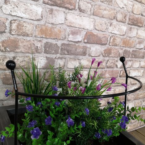 Tom Chambers Cottage Heavy Duty Black Metal Steel Herbaceous Garden Plant Support Arc Small 60cm x 36cm (1/5)