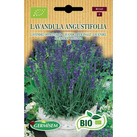 Graines de Lavande 0.5 g ECBIO1143 Multicolore