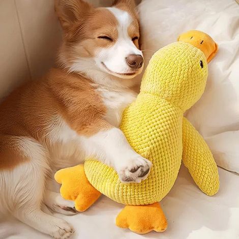 Jouet en peluche pour chiens de grande taille, jouet couineur en forme de canard, jouet doux pour chiens de petite, moyenne et grande taille – 35 cm (1/5)