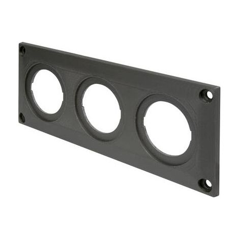ProCar Cadre triple (1/2)