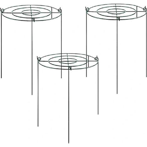 Ensemble avec support pour pivoines, support pour plantes avec arches et treillis à 4 pieds, support pour plantes, support pour fleurs