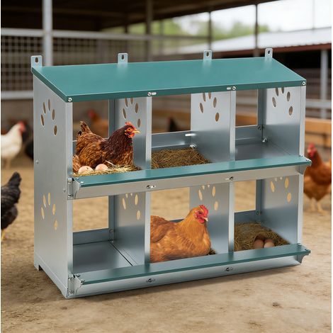 Nidificación para gallinas de 6 compartimentos con recogida de huevos por rampa, metal verde (1/5)