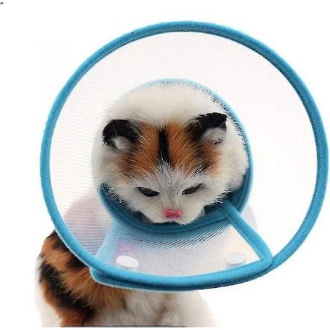 Collier médical anti-morsure et anti-léchage Yyh pour chats et chiens, motif tournesol, taille M, bleu (1/4)