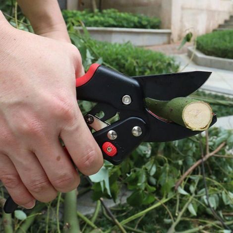 Sécateurs Jardin - Cisailles Professionnelles Alliage, Sécateur Ultra Tranchant Durable pour Coupe Jardin (1/4)