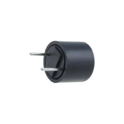 Fusible Lento Miniatura RFT-1,25Amp   R5,08mm