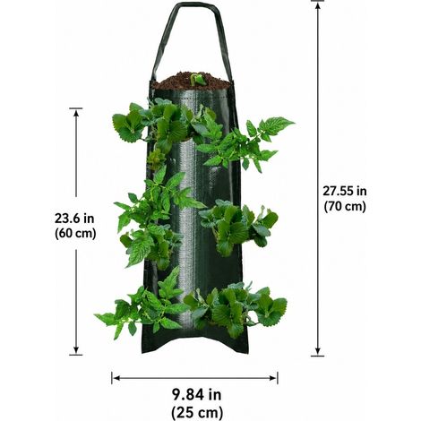 3 Pièces Sac Plantation Suspendu 70 x 25 cm PE Vert 6 Ouvertures Fraises (1/4)