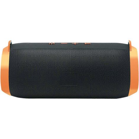 Enceinte portable Bluetooth sans fil pour intérieur et extérieur avec caisson de basses FM