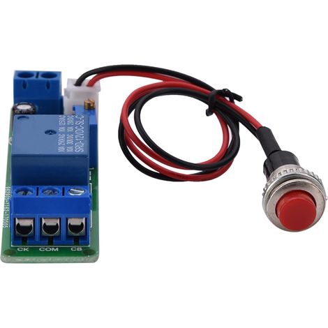 Module de minuterie réglable 12 V pour un contrôle précis avec (1/5)