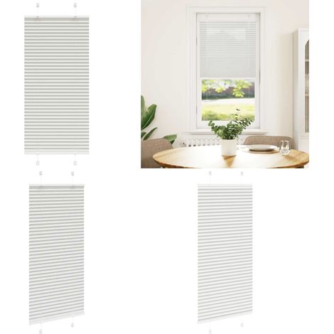 vidaXL Plissee Hellgrau 60x100 cm Stoffbreite 59,4 cm Polyester (1/5)