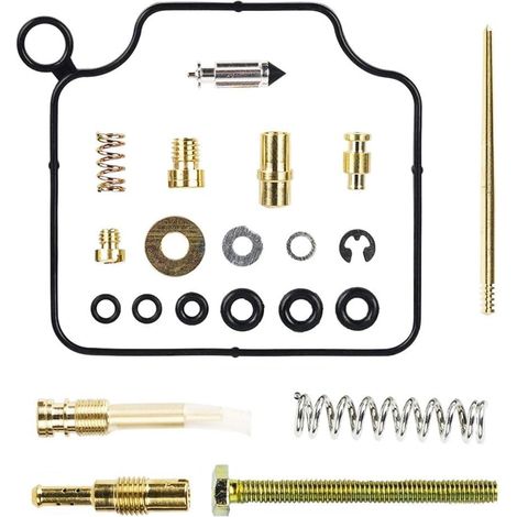 Carburetor Carb Rebuild Repair Kit for pour aspiration et nettoyage maison (1/4)