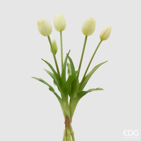 EDG Bouquet 5 Tulipani Olis Chiusi Gomma Champagne H 40 Cm