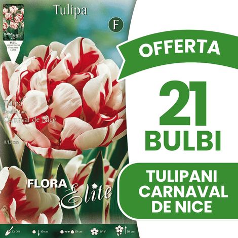 OFFERTA 21 BULBI TULIPANO FIORE DOPPIO CARNAVAL DE NICE BULBS