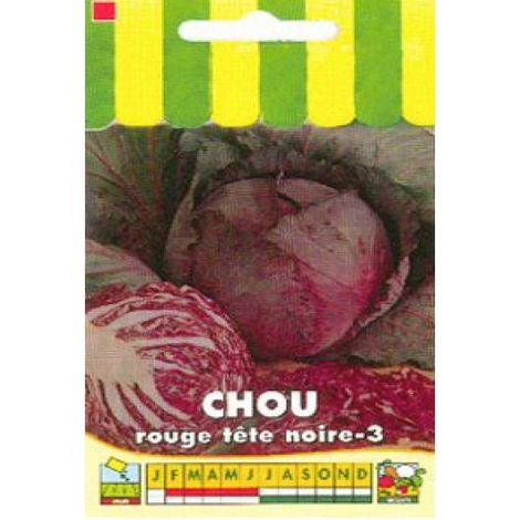 Chou cabus 'Tête noire' le sachet de 500 graines (2g) (1/2)