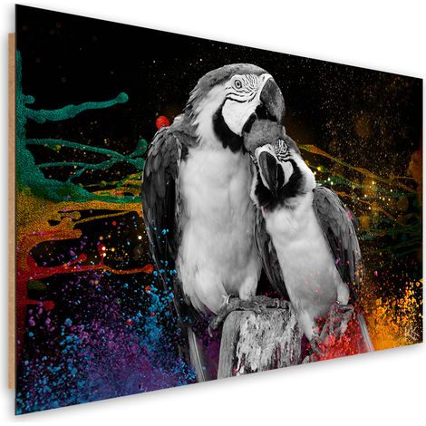 Quadro deco panel, Astrazione di pappagalli colorati - 90x60 (1/5)