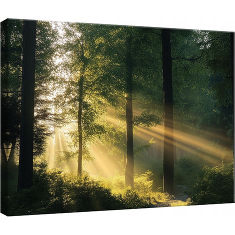 Peinture Murale sur toile fort nature arbres pour chambre salon cuisine 100x70 (1/3)