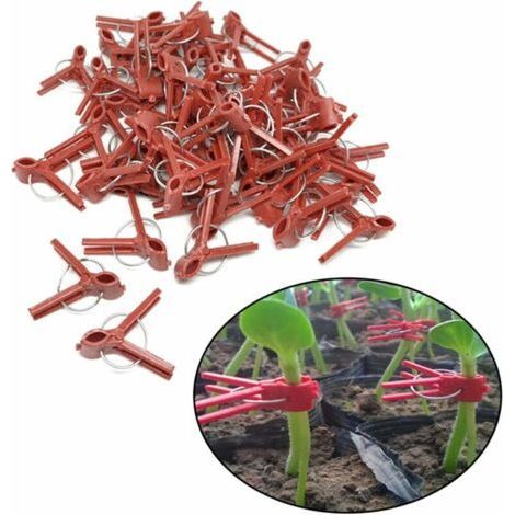 Clip de greffage de tomate semis clip de greffage clip de greffage d'aubergine 100 pcs clip de greffage bouche ronde (1/5)