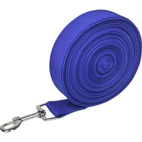 Longe pour Chien (10m ), Laisse de Dressage Chien avec Poignée Longe Chien Longue Sangle en Nylon Mains Libre pour Petits à Grands Chiens Animal de Compagnie Promenade Jogging (1/5)