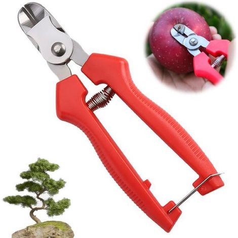 Sécateur de Jardin,Sécateur à Fleurs Bonsaï Plantes,Cisailles à branches,sécateurs de jardinage,pour Pomme,Raisins,Roses,Vignes(1pc) (1/3)