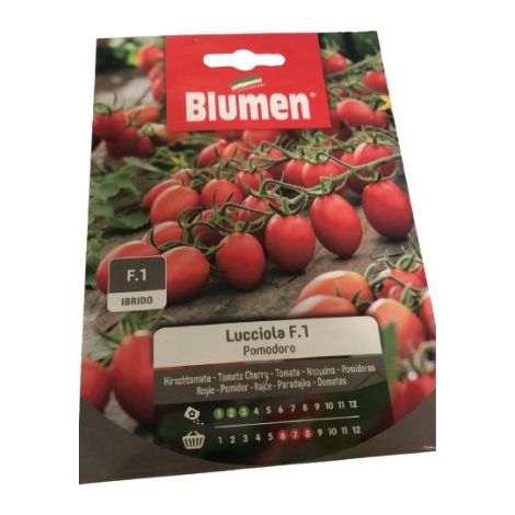 SEMI POMODORO LUCCIOLA F1 BLUMEN (1/2)
