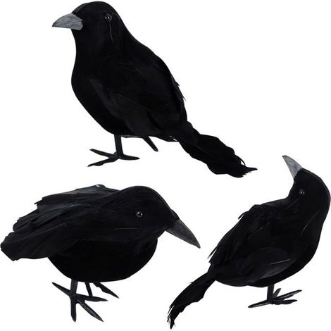 3 Paquets Corbeaux d'halloween Corbeaux Artificiels à Plumes Décorations Réalistes Oiseaux Corbeau Effrayant à Plumes Noires (1/5)
