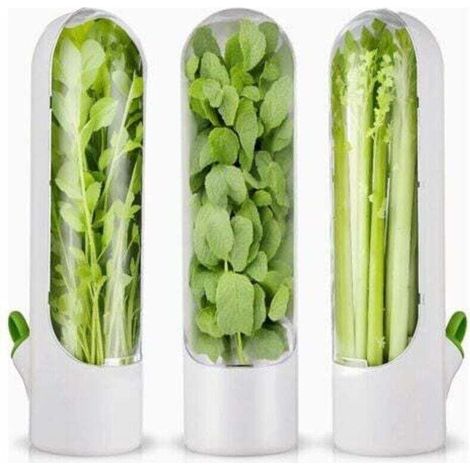 3 pieces of containers for aromatic herbs for the fridge, containers for fresh aromatics for the refrigerator, containers for aromatic herbs for coriandolo and asparagus (1/4)
