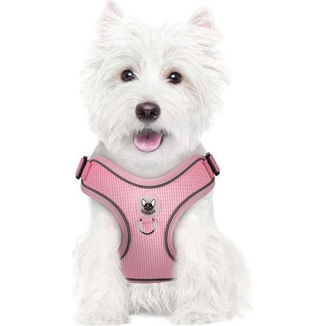 Pettorina per cani con guinzaglio, riflettente, regolabile, morbida, taglia XS, rosa