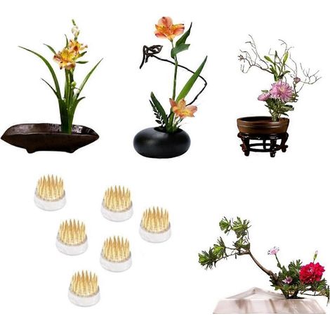 Supports pour compositions florales pour la maison et le bureau (24 pièces, 2,3 cm) (1/5)