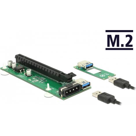Delock Tarjeta Elevadora M.2 Clave B + M  PCI Express x16 con cable USB de 30 cm