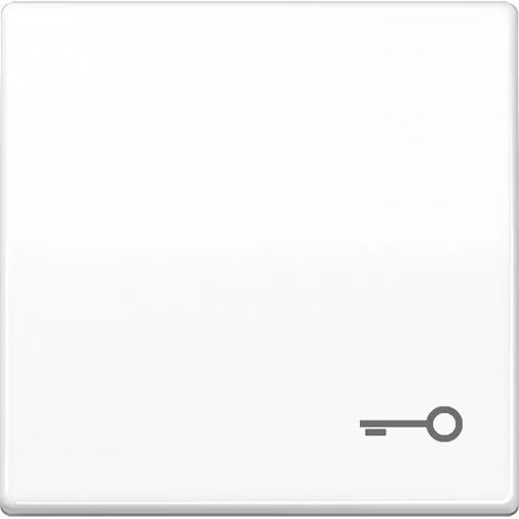 Jung Wippe Symbol TÜR aws für Taster AS 591 T WW (1/2)