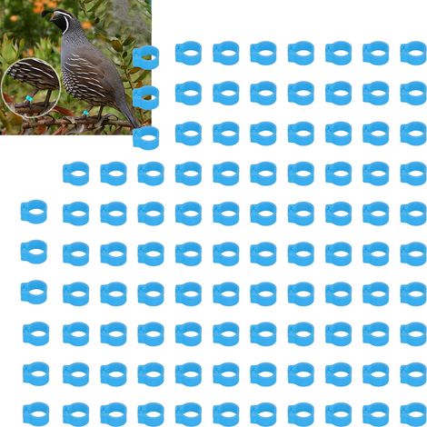 100 bagues d'identification pour pigeons de 8 mm, sans inscription, bleu clair. (1/5)