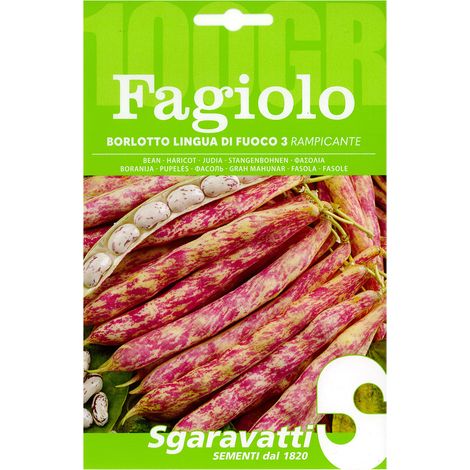 SEMI PER FAGIOLI fagiolo borlotto rampicante lingua di fuoco 3 - gr 100 Q.TA 5 fagiolo borlotto rampicante lingua di fuoco 3 - gr 100