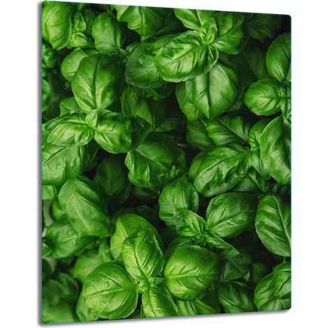 TABLERO DE MESA DE PANEL DE PLACA DE CRISTAL 40x52 BASIL (1/5)
