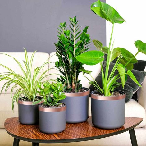 Kupferband 6 pcs Kupfer 2000 x 3 cm Kupfer