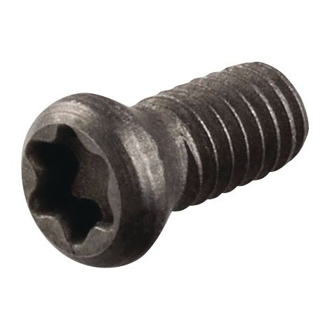 Tornillo  tensor  US2506  Gr.T8  TECWERK (1/2)