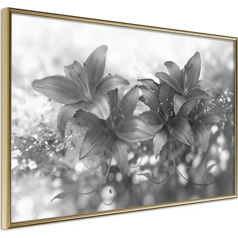 Affiche Murale Encadrée "Dark Lillies" 60 x 40 cm Or
