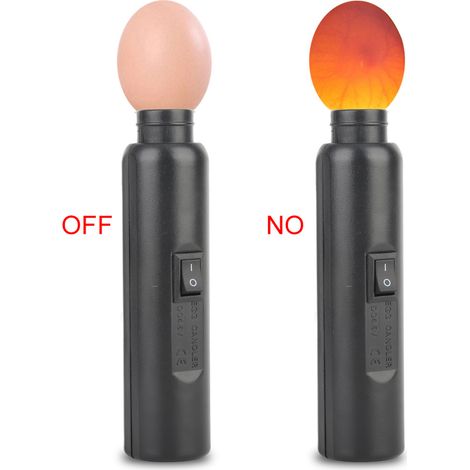 Incubateur miniature automatique à éclairage LED pour expériences (exclusif) (1/5)
