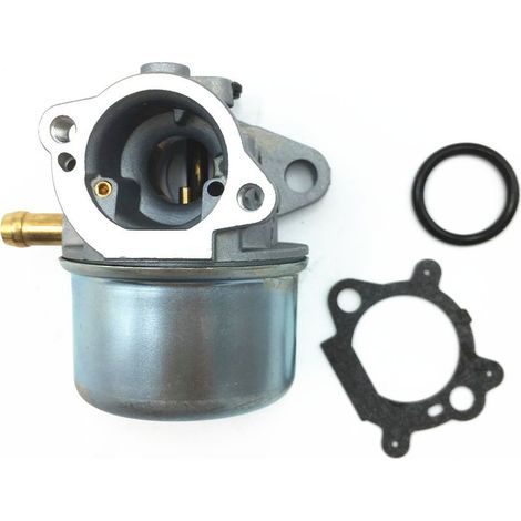 Carburateur Compatible 799868, 799872, 790821 – Moteurs Sans Starter – Avec Joints (1/4)