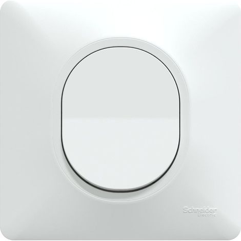 SCHNEIDER ELECTRIC Interrupteur va-et-vient complet Ovalis, SCHNEIDER ELECTRIC, blanc (1/5)