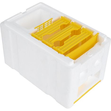 Queen Bee Mating Box, Foam Material, Leak-Proof Design, 24x15x16.5cm, Perfect for Beekeeping Supplies (1/5)