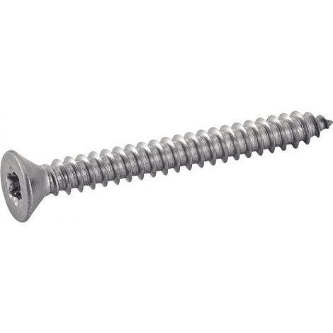 Viti acton 624104,8X19 Torx autofilettanti 4.8 mm 19 mm