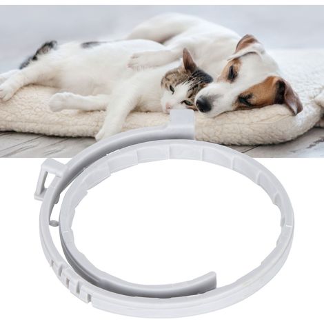Collier anti-moustiques et anti-puces réglable pour chien et chat, utilisable en 4 saisons (38 cm) (1/5)