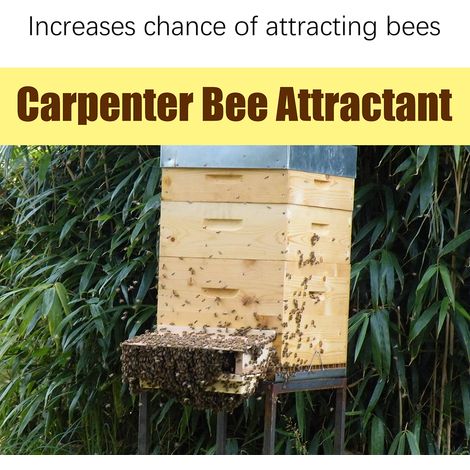 Set mit 2 Bienenlockkästen für den Außenbereich, Farbe wie abgebildet, Einheitsgröße (1/5)