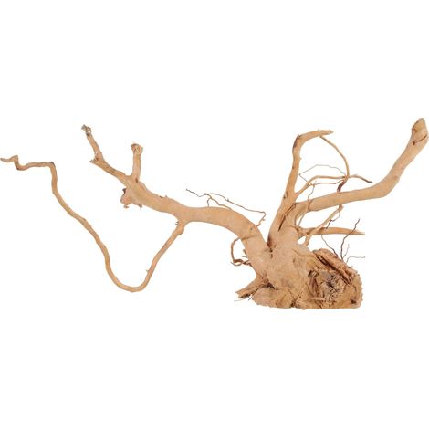 Zolux Racine Araignée Bois Naturel 50-60 cm Aquarium